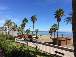 Palmen am langen Strand von Estepona