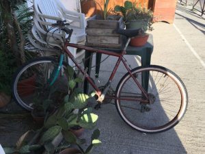 verrostetes Fahrrad am Kakteentisch: Zeugnis einer charmanten Stadt