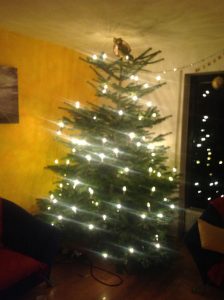 Alle Jahre wieder: ein Traum von Weihnachtsbaum